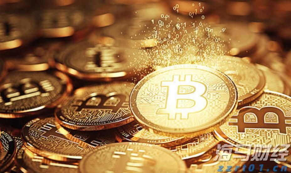 广东出台保护鸟类工作方案 提出全面加强鸟类迁飞通道保护等六大任务